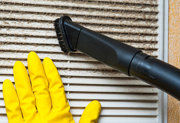 Best Affordable HVAC Duct Cleaning  in Mancelona, MI
